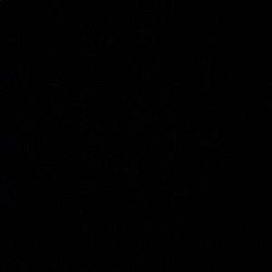 Meet your Posher, Isaac